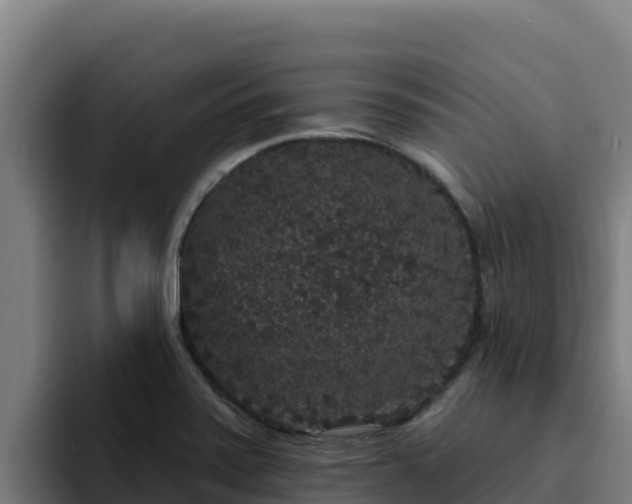 X0000094961371200712061303