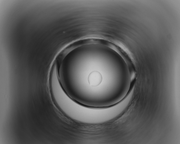 X0000094961372200712061303