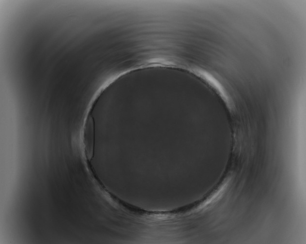 X0000094961373200712061303