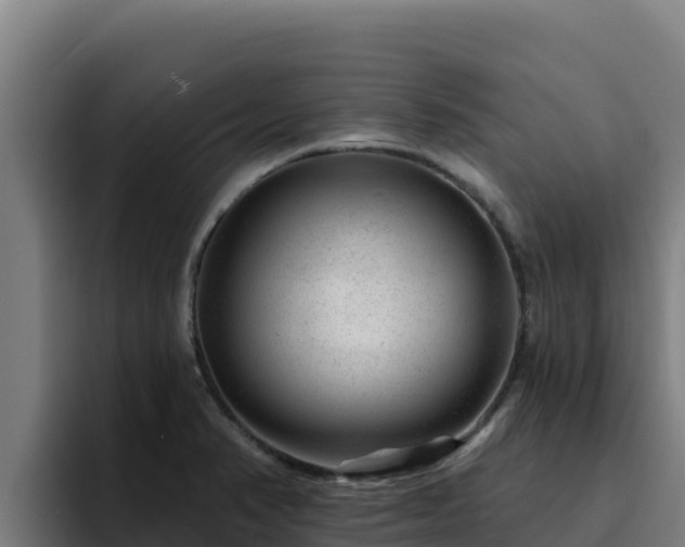 X0000094961374200712061303