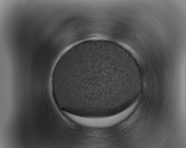 X0000094961375200712061303