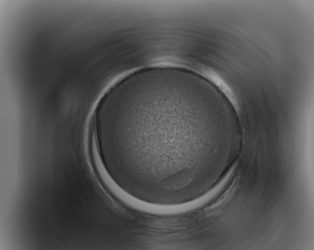 X0000094961376200712061303