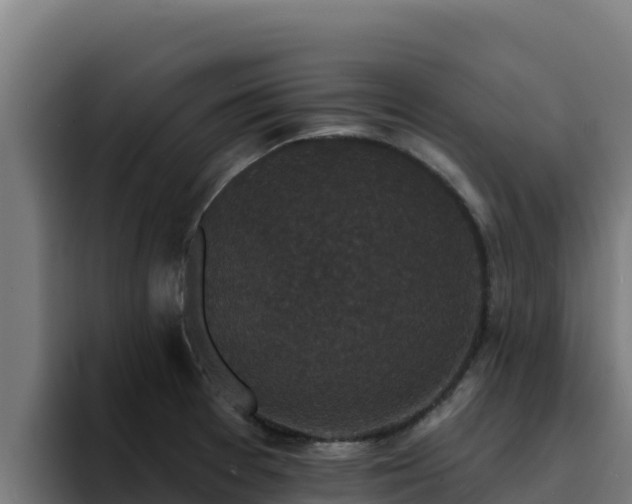 X0000094961377200712061303