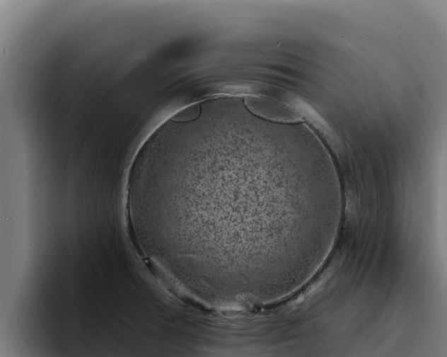 X0000094961378200712061303