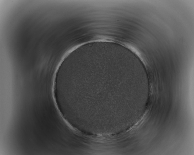 X0000094961379200712061303