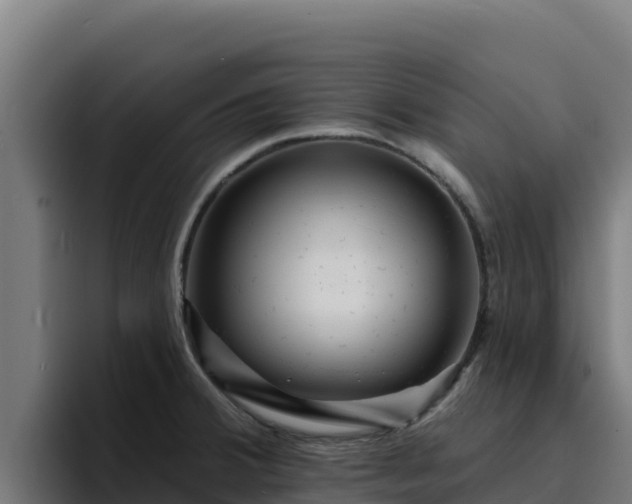 X0000094961380200712061303