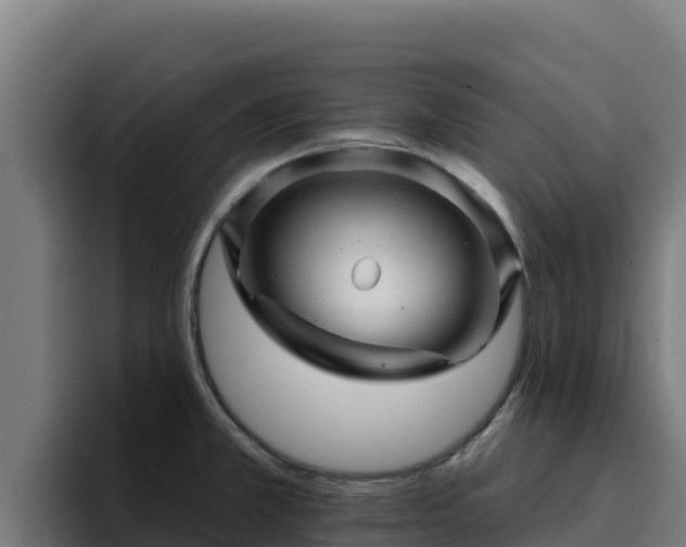 X0000094961381200712061303