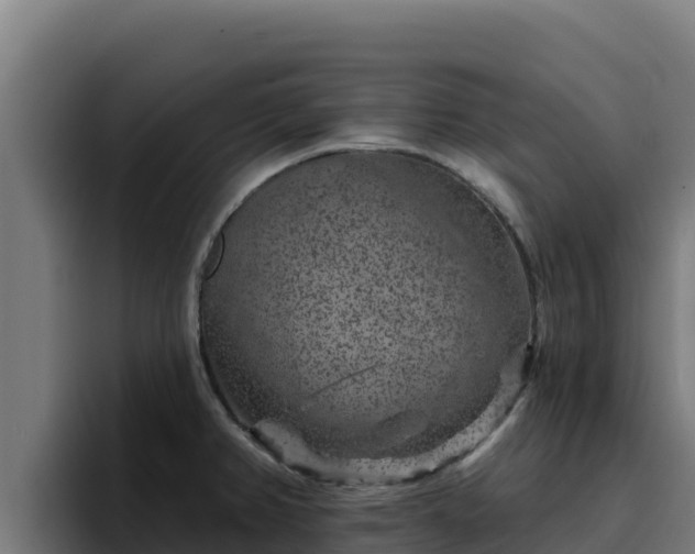 X0000094961382200712061303