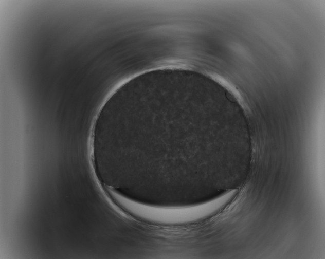 X0000094961383200712061303