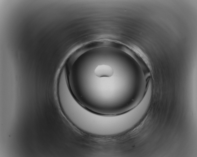 X0000094961384200712061303