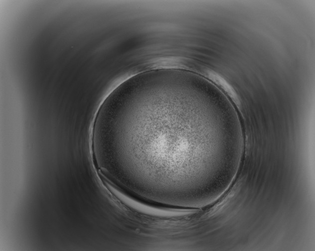 X0000094961386200712061303