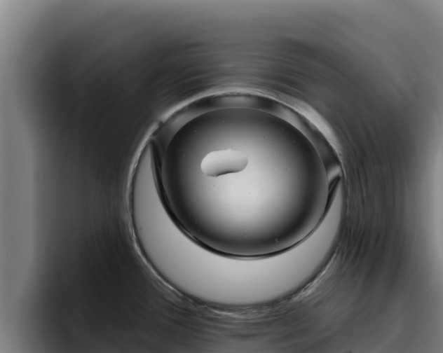 X0000094961388200712061303