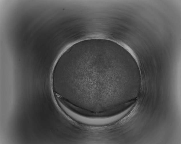 X0000094961389200712061303