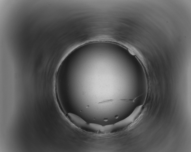 X0000094961390200712061303