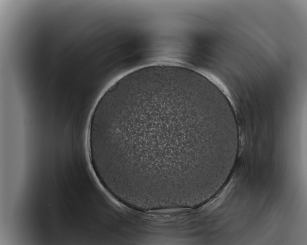 X0000094961391200712061303