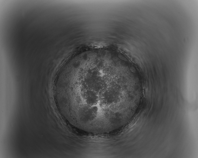 X0000094961393200712061302