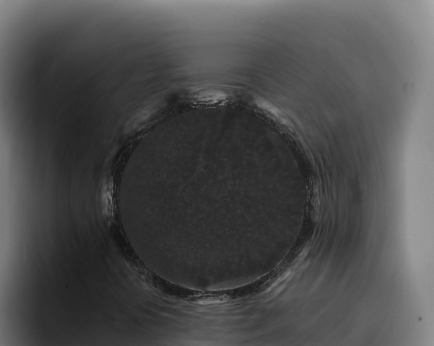 X0000094961394200712061302