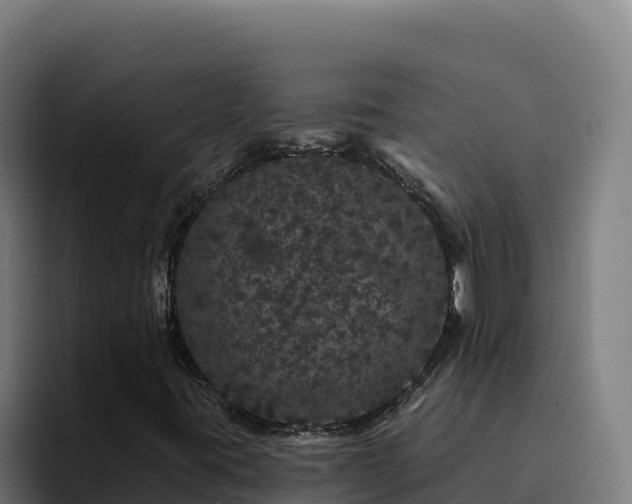 X0000094961395200712061302