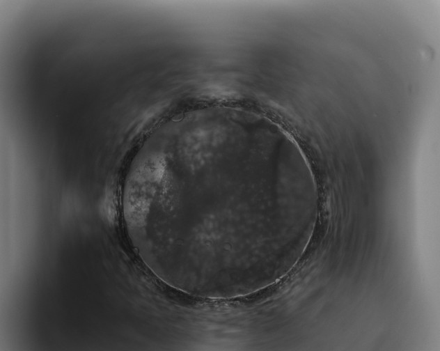 X0000094961397200712061302