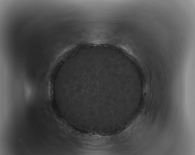 X0000094961398200712061302