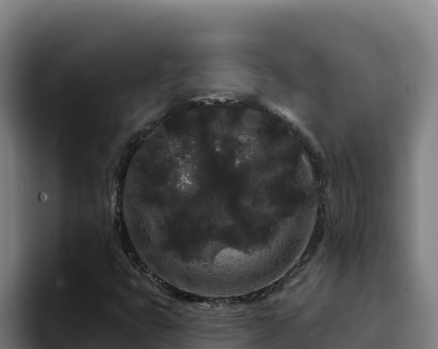 X0000094961399200712061302