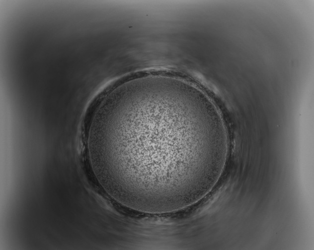 X0000094961400200712061302