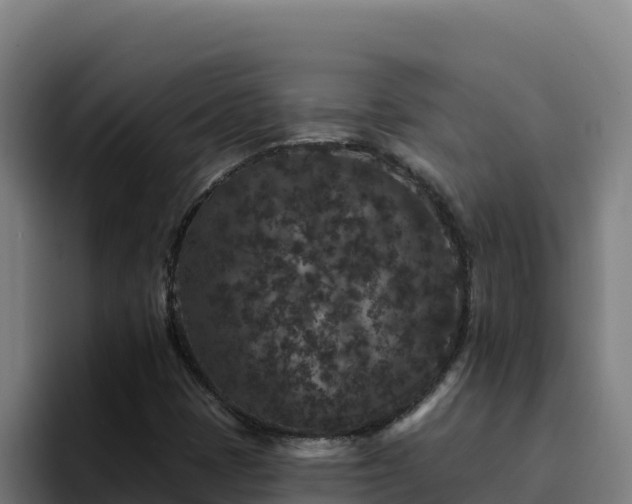 X0000094961401200712061302