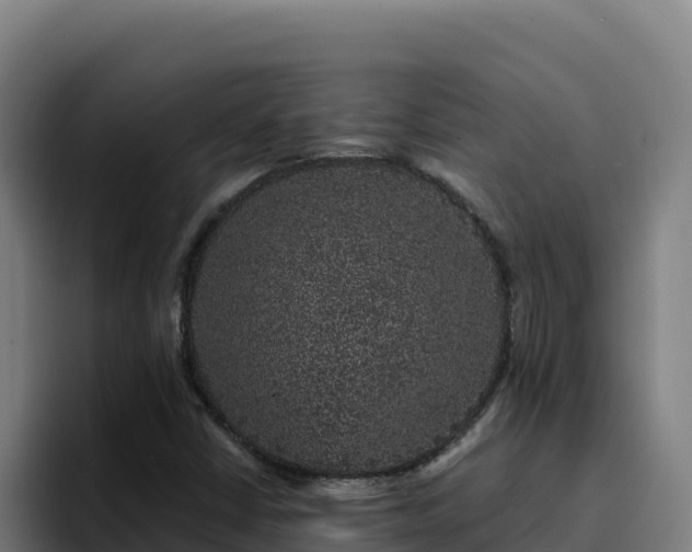 X0000094961402200712061302