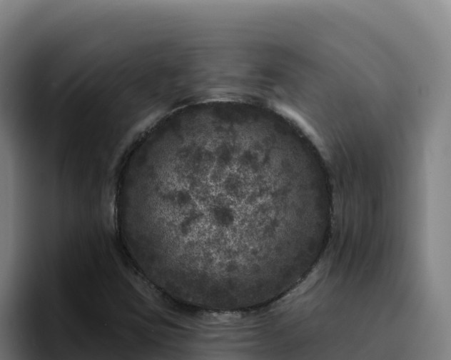 X0000094961403200712061302