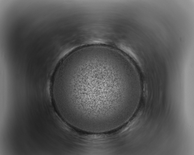 X0000094961404200712061302