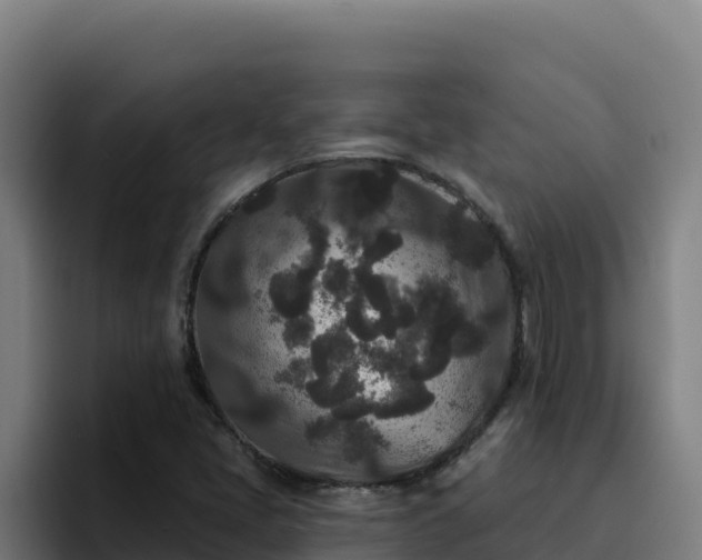 X0000094961405200712061302