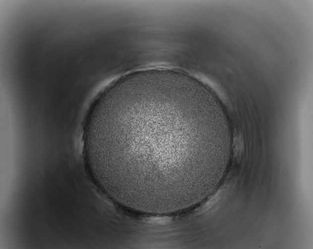 X0000094961406200712061302