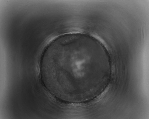 X0000094961407200712061302