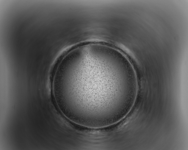 X0000094961408200712061302