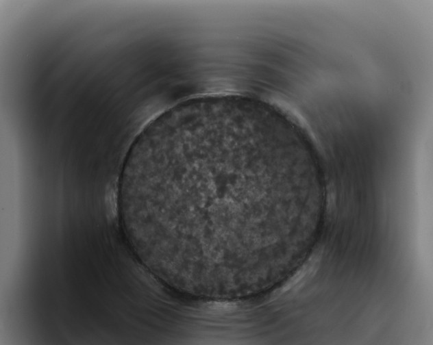 X0000094961409200712061302