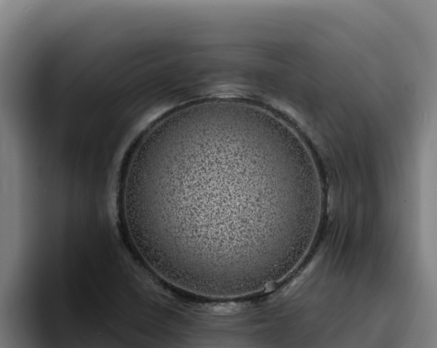 X0000094961410200712061302