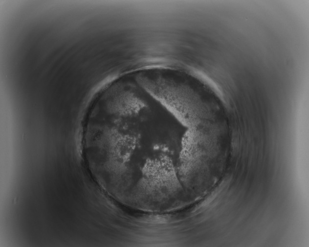 X0000094961411200712061302