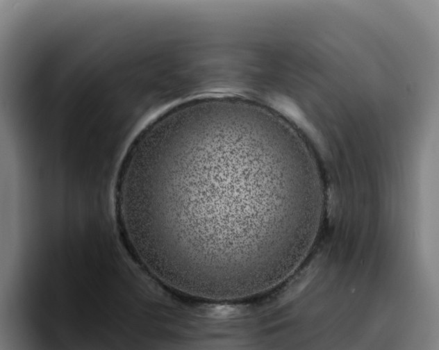 X0000094961412200712061302