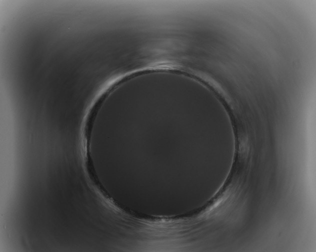 X0000094961414200712061302