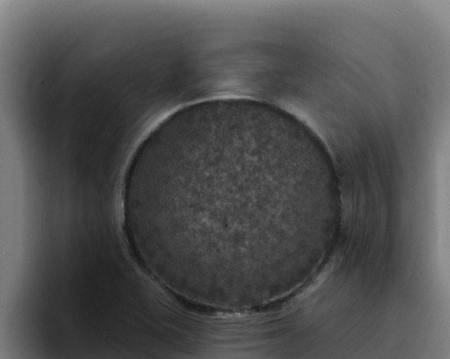 X0000094961415200712061302