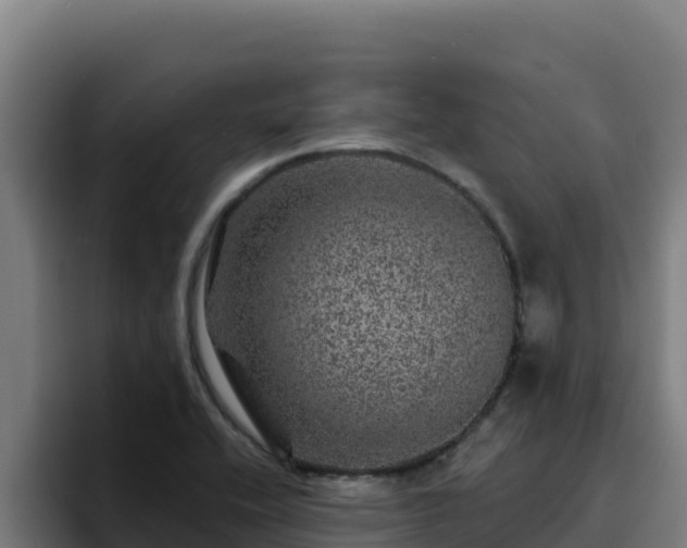 X0000094961416200712061302