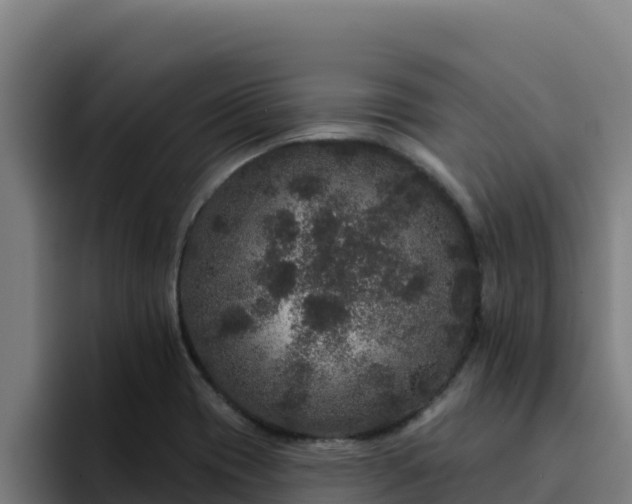 X0000094961417200712061302