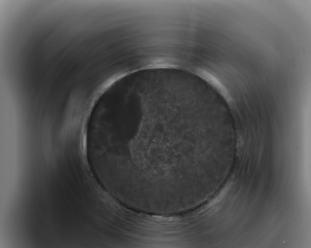 X0000094961419200712061302