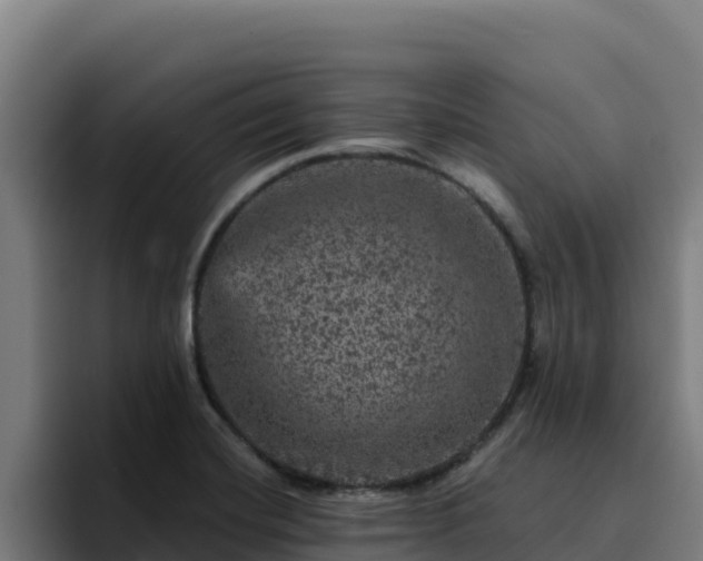 X0000094961420200712061302