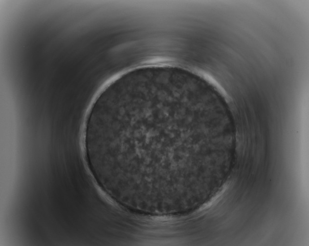 X0000094961421200712061302