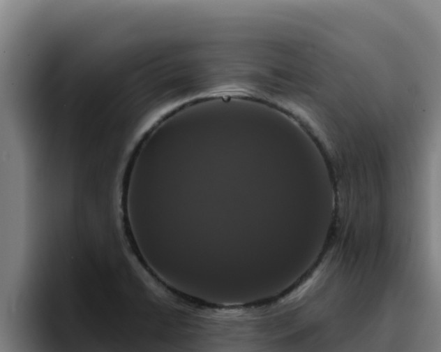 X0000094961422200712061302