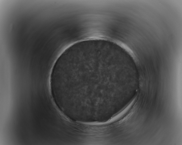 X0000094961423200712061302