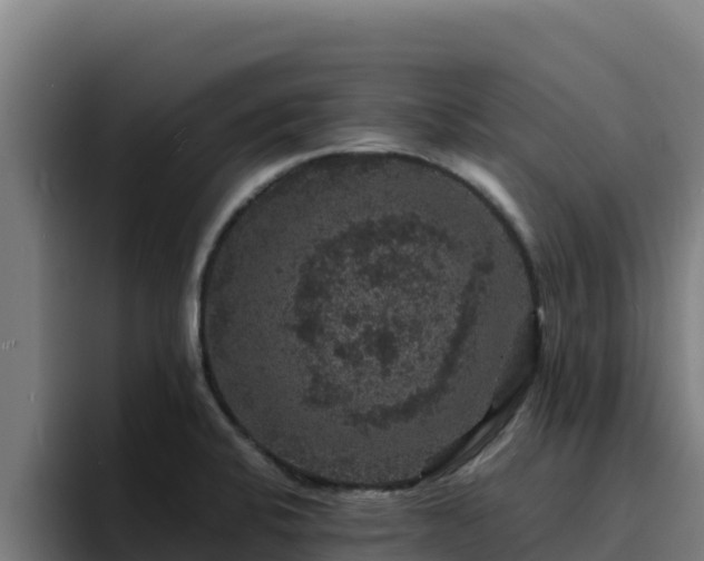 X0000094961424200712061302