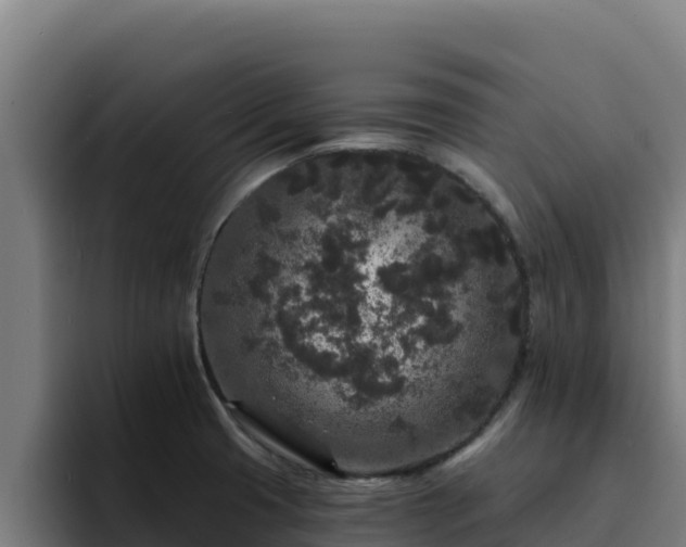 X0000094961425200712061302