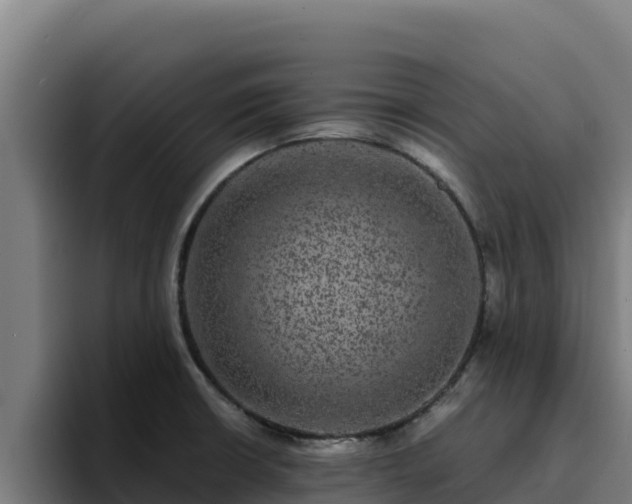 X0000094961426200712061302